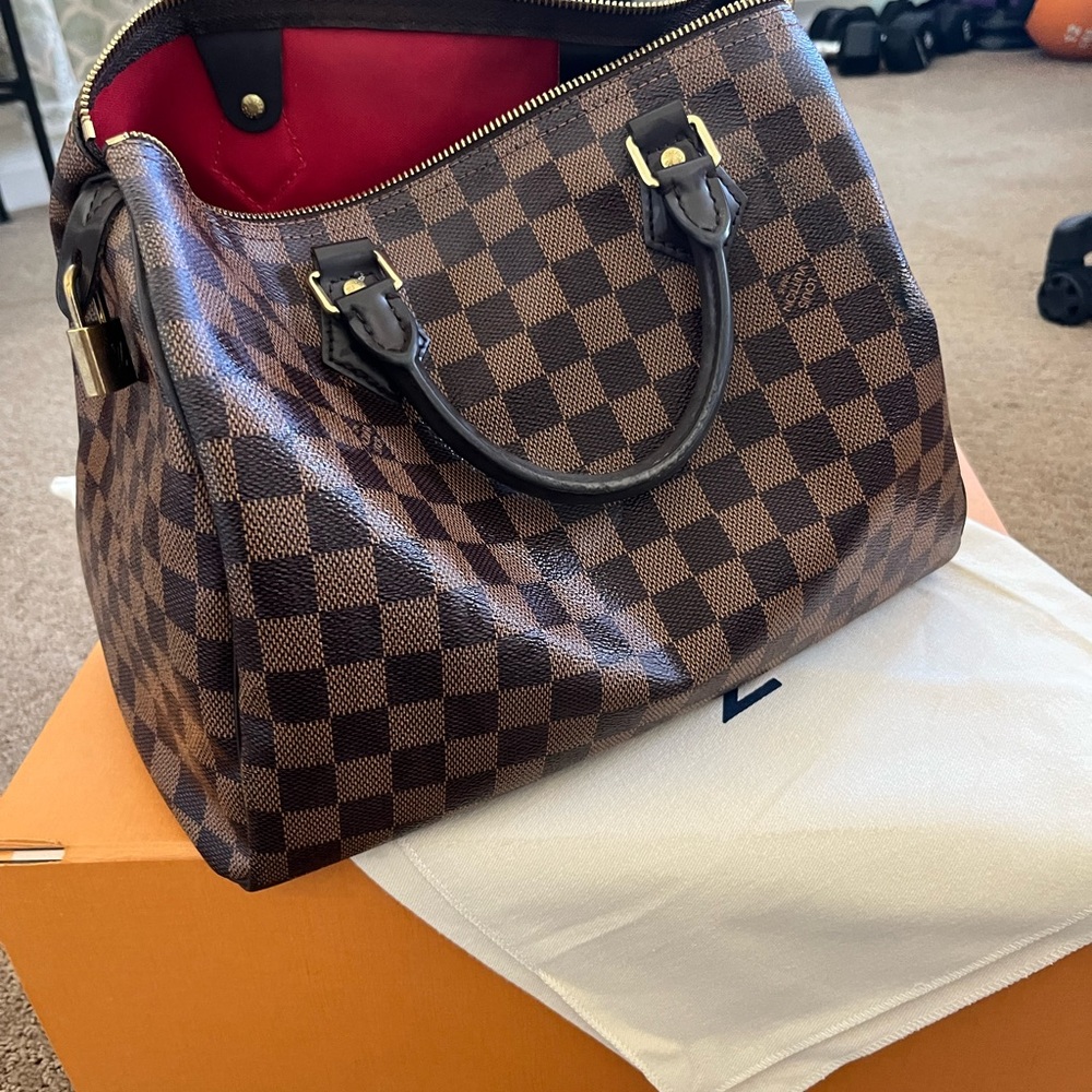 Louise Voitton Speedy 30 Damier Ebene